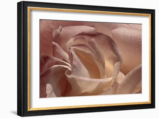 Heart of a Rose IX-Rita Crane-Framed Photographic Print