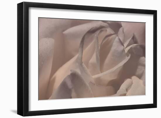 Heart of a Rose VI-Rita Crane-Framed Photographic Print