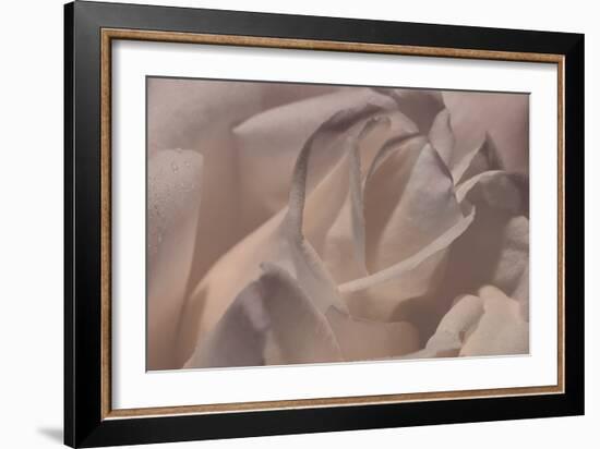 Heart of a Rose VI-Rita Crane-Framed Photographic Print