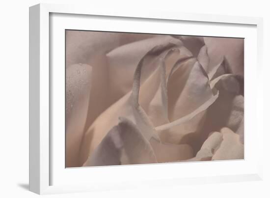 Heart of a Rose VI-Rita Crane-Framed Photographic Print