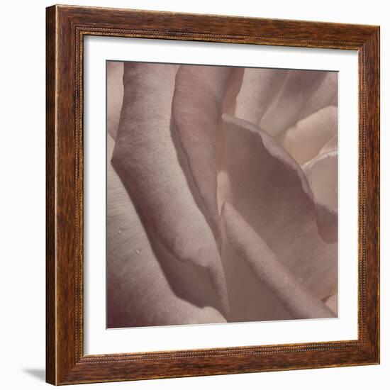 Heart of a Rose VII-Rita Crane-Framed Photographic Print