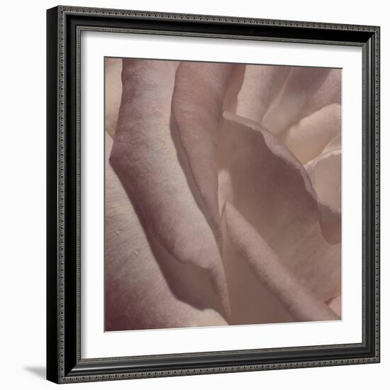 Heart of a Rose VII-Rita Crane-Framed Photographic Print