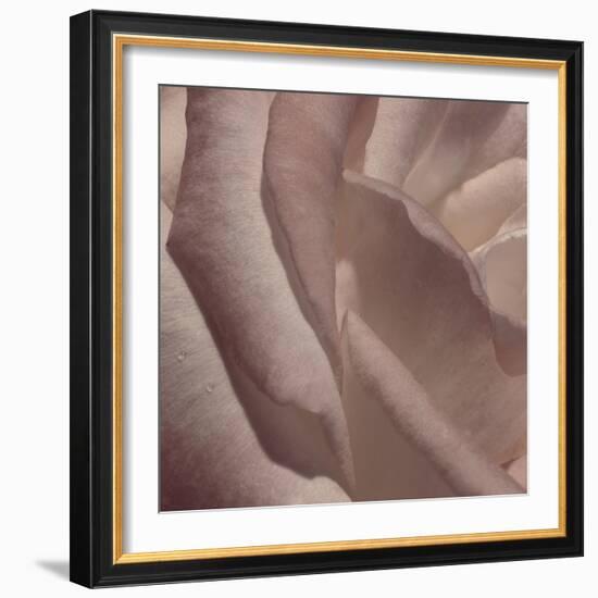 Heart of a Rose VII-Rita Crane-Framed Photographic Print