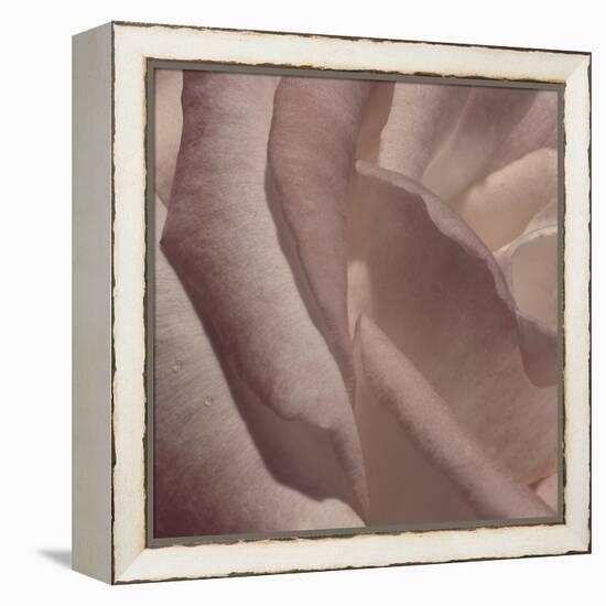 Heart of a Rose VII-Rita Crane-Framed Premier Image Canvas