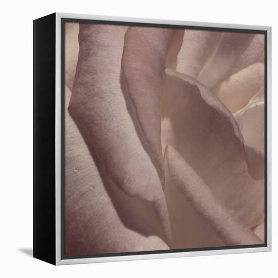 Heart of a Rose VII-Rita Crane-Framed Premier Image Canvas