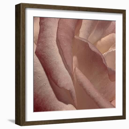 Heart of a Rose XI-Rita Crane-Framed Photographic Print