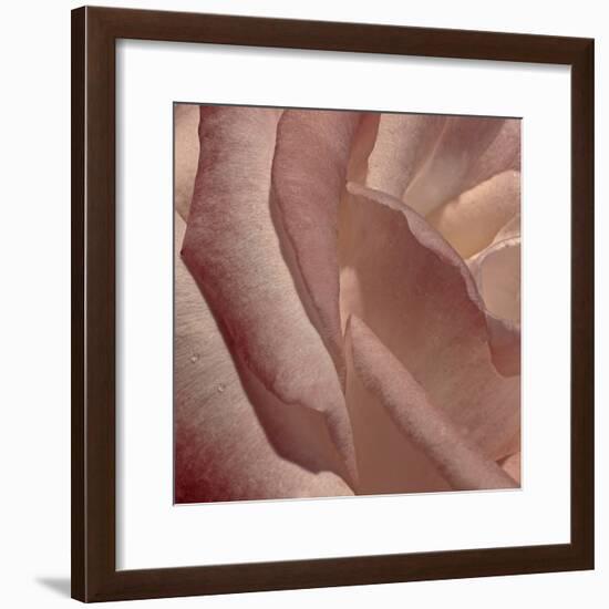 Heart of a Rose XI-Rita Crane-Framed Photographic Print