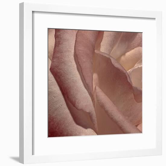 Heart of a Rose XI-Rita Crane-Framed Photographic Print