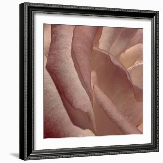 Heart of a Rose XI-Rita Crane-Framed Photographic Print