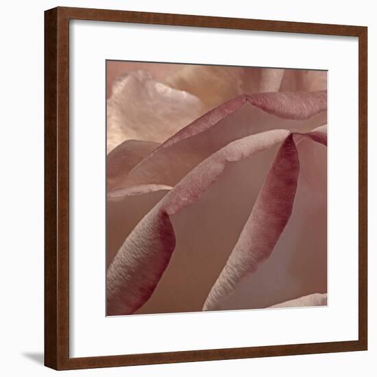 Heart of a Rose XII-Rita Crane-Framed Photographic Print