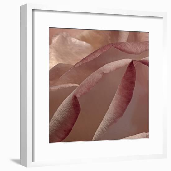 Heart of a Rose XII-Rita Crane-Framed Photographic Print