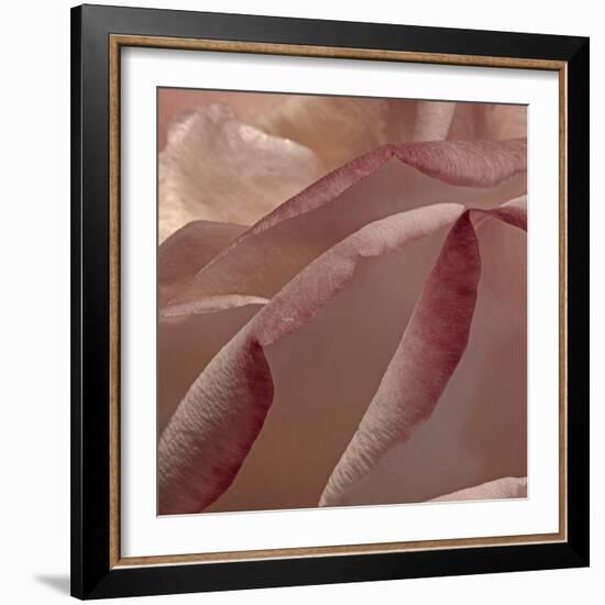 Heart of a Rose XII-Rita Crane-Framed Photographic Print