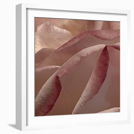 Heart of a Rose XII-Rita Crane-Framed Photographic Print