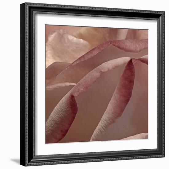 Heart of a Rose XII-Rita Crane-Framed Photographic Print