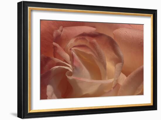 Heart of a Rose-Rita Crane-Framed Photographic Print