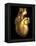 Heart of Gold-Roger Harris-Framed Premier Image Canvas