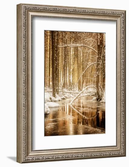 Heart of Gold-Philippe Sainte-Laudy-Framed Photographic Print