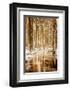 Heart of Gold-Philippe Sainte-Laudy-Framed Photographic Print