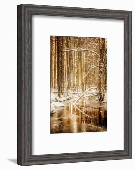 Heart of Gold-Philippe Sainte-Laudy-Framed Photographic Print