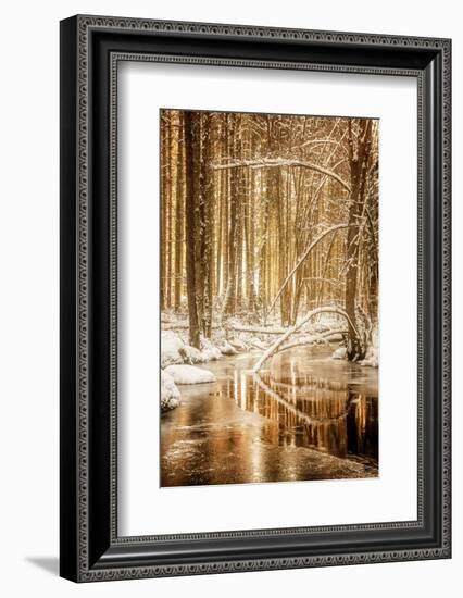 Heart of Gold-Philippe Sainte-Laudy-Framed Photographic Print