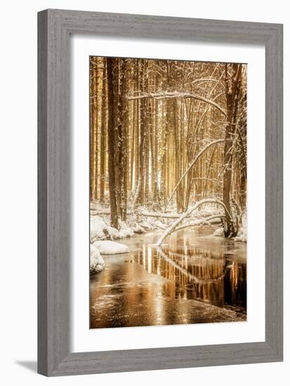 Heart of Gold-Philippe Sainte-Laudy-Framed Premium Photographic Print