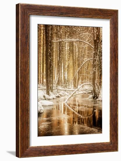 Heart of Gold-Philippe Sainte-Laudy-Framed Premium Photographic Print