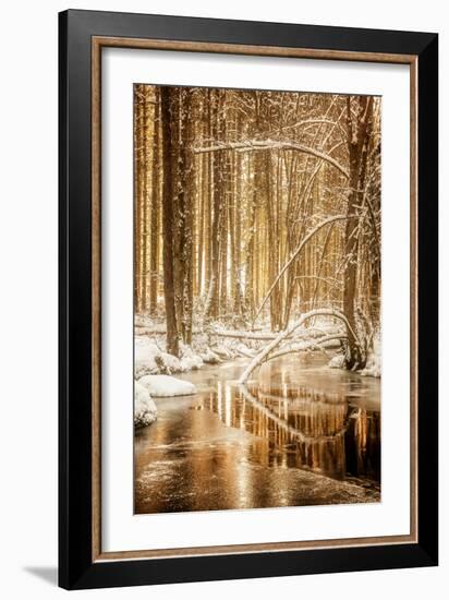 Heart of Gold-Philippe Sainte-Laudy-Framed Premium Photographic Print