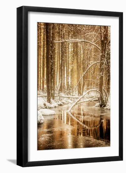 Heart of Gold-Philippe Sainte-Laudy-Framed Premium Photographic Print