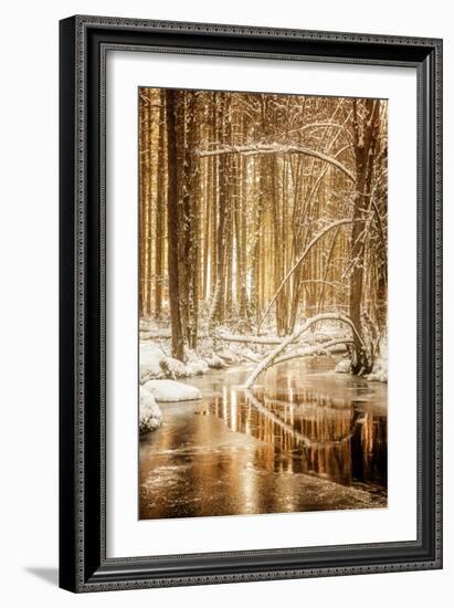 Heart of Gold-Philippe Sainte-Laudy-Framed Premium Photographic Print