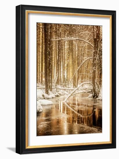 Heart of Gold-Philippe Sainte-Laudy-Framed Premium Photographic Print