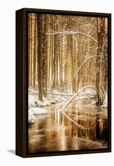 Heart of Gold-Philippe Sainte-Laudy-Framed Premier Image Canvas