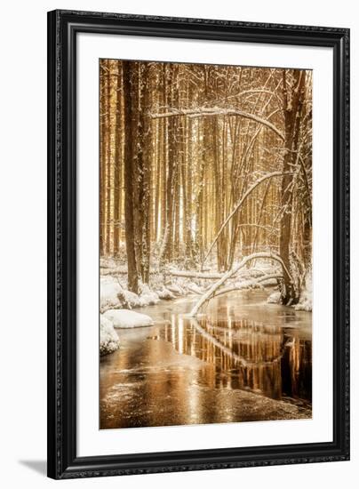 Heart of Gold-Philippe Sainte-Laudy-Framed Photographic Print