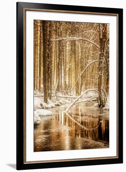 Heart of Gold-Philippe Sainte-Laudy-Framed Photographic Print