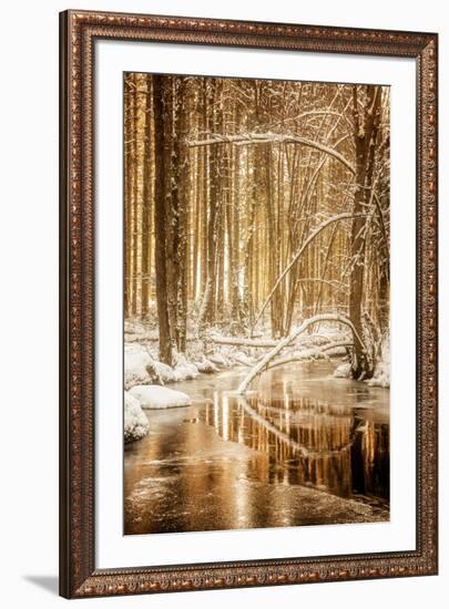 Heart of Gold-Philippe Sainte-Laudy-Framed Photographic Print