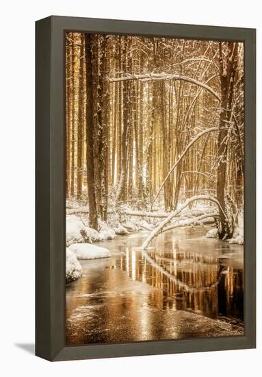 Heart of Gold-Philippe Sainte-Laudy-Framed Premier Image Canvas