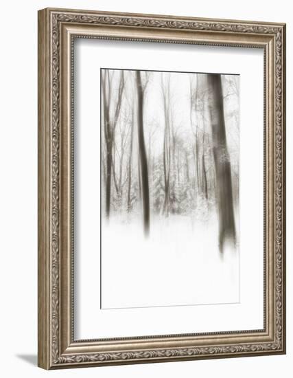 Heart of Ice-Viviane Fedieu Daniel-Framed Photographic Print