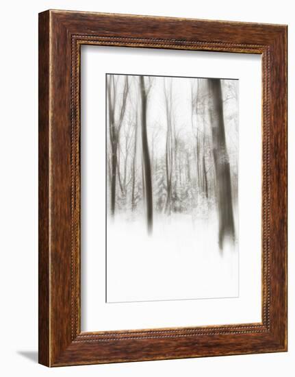 Heart of Ice-Viviane Fedieu Daniel-Framed Photographic Print