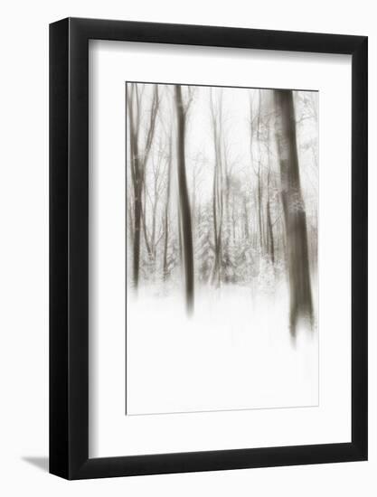 Heart of Ice-Viviane Fedieu Daniel-Framed Photographic Print