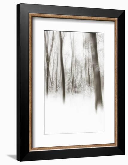 Heart of Ice-Viviane Fedieu Daniel-Framed Photographic Print