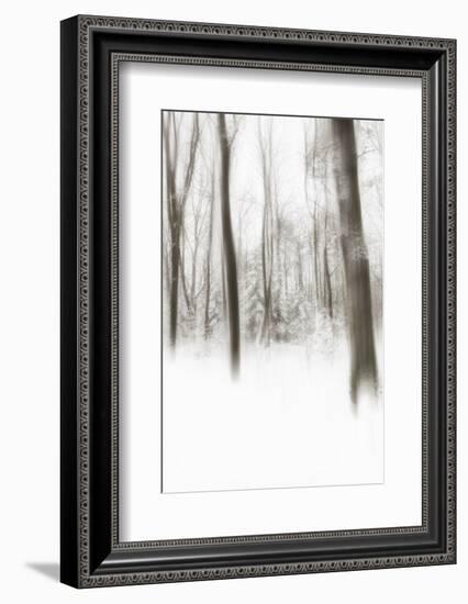 Heart of Ice-Viviane Fedieu Daniel-Framed Photographic Print