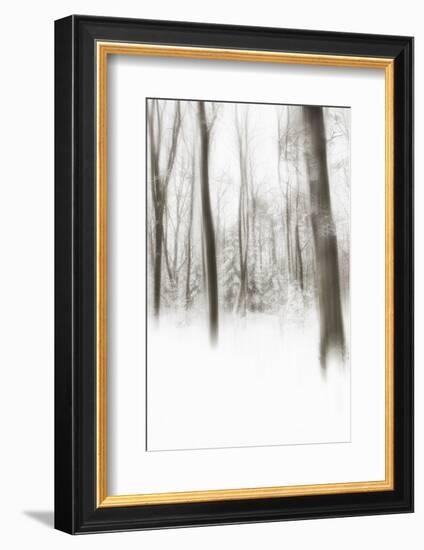 Heart of Ice-Viviane Fedieu Daniel-Framed Photographic Print