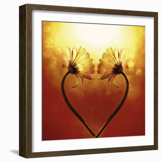 Heart Of Nature-Andreas Stridsberg-Framed Giclee Print