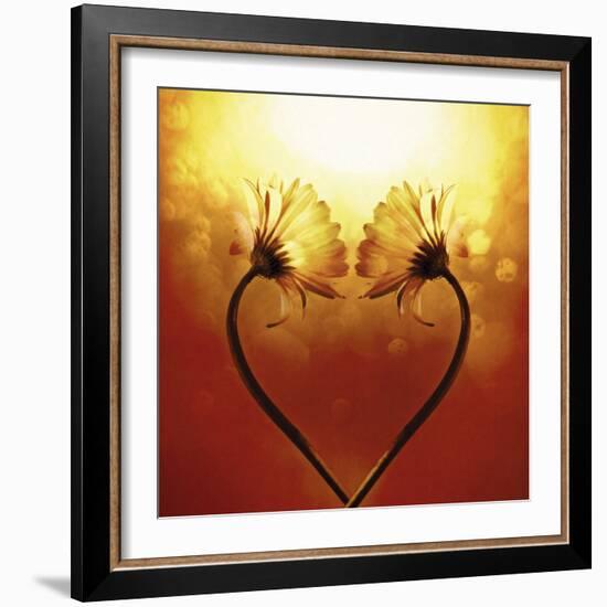 Heart Of Nature-Andreas Stridsberg-Framed Giclee Print