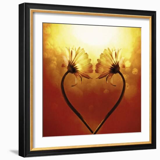 Heart Of Nature-Andreas Stridsberg-Framed Giclee Print