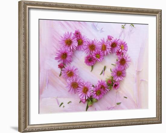 Heart of Pink Asters-Friedrich Strauss-Framed Photographic Print