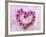 Heart of Pink Asters-Friedrich Strauss-Framed Photographic Print