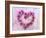 Heart of Pink Asters-Friedrich Strauss-Framed Photographic Print