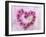 Heart of Pink Asters-Friedrich Strauss-Framed Photographic Print