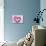 Heart of Pink Asters-Friedrich Strauss-Mounted Photographic Print displayed on a wall