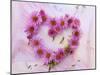 Heart of Pink Asters-Friedrich Strauss-Mounted Photographic Print
